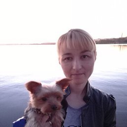 , 40 , 