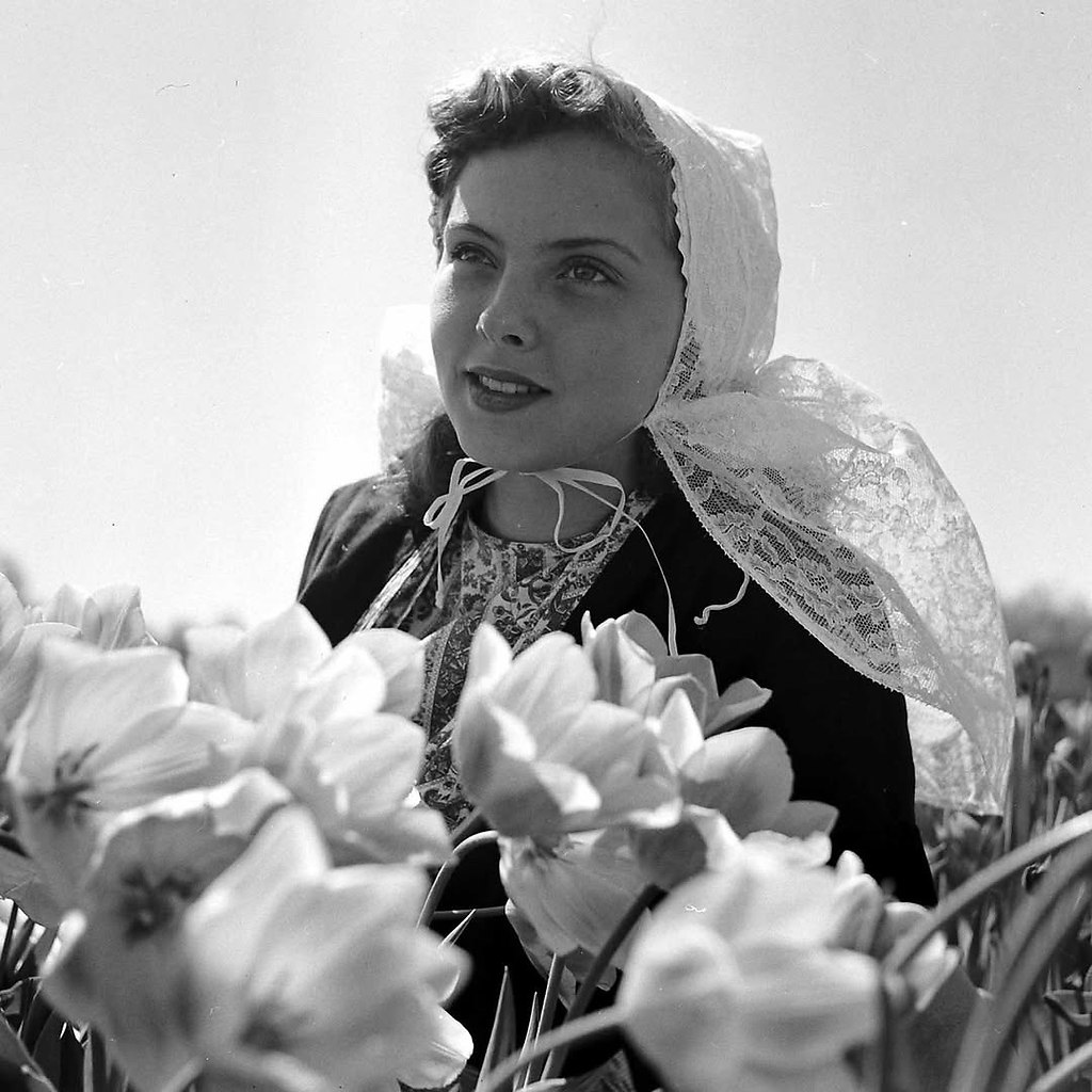       1950  - 4