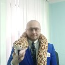 ���� ������, �������� - ��������� 7 ���� 2026 � ������ ���� ����������