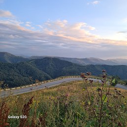 ������, �����, 52 ����