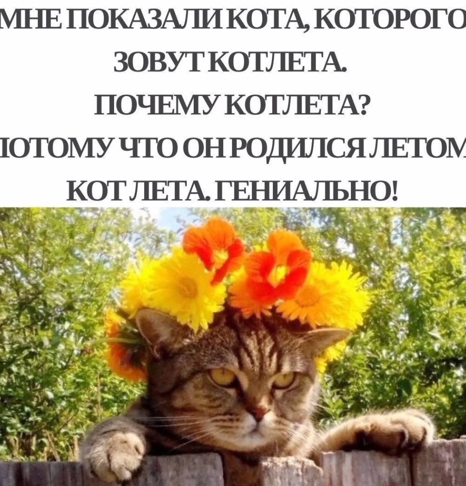 Рецепты - 4 сентября 2025 в 18:07