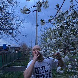 ����, 43 ����, ���������