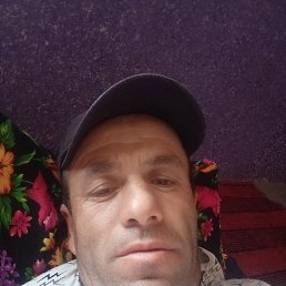 , 53, 