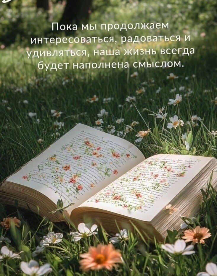   - 17  2025  16:48