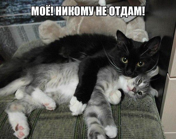 ? ,  ! - 6  2025  12:45