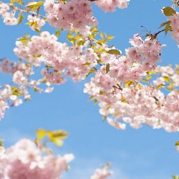 ���� D&eacute;j&agrave; Vu, ������ - ��������� 1 ������ 2026