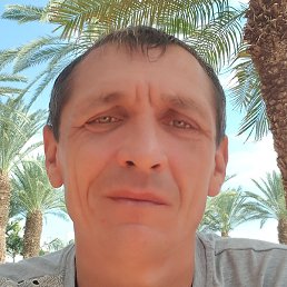 ����, ����-���, 50 ���