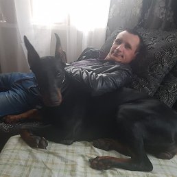 �����, ���, 43 ����