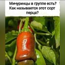 ���� Jolly, ���������, 56 ��� - ��������� 20 �������� 2024