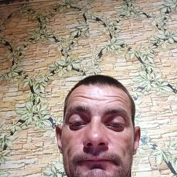 , 37 , 