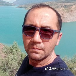 �����, ������������, 43 ����