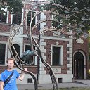 ���� �������, �����-���������, 48 ��� - ��������� 30 ������� 2025 � ������ ���� ����������