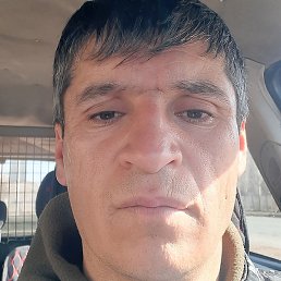 ����, �������, 40 ���