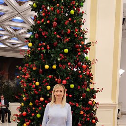 ����, 43 ����, ������