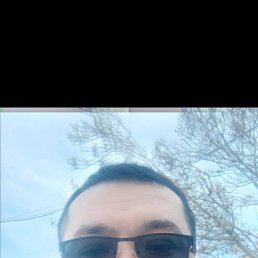 , 33, 
