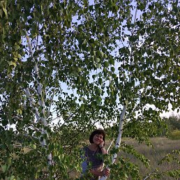 ���������, �����������, 63 ����