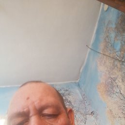 �������, �����������, 47 ���