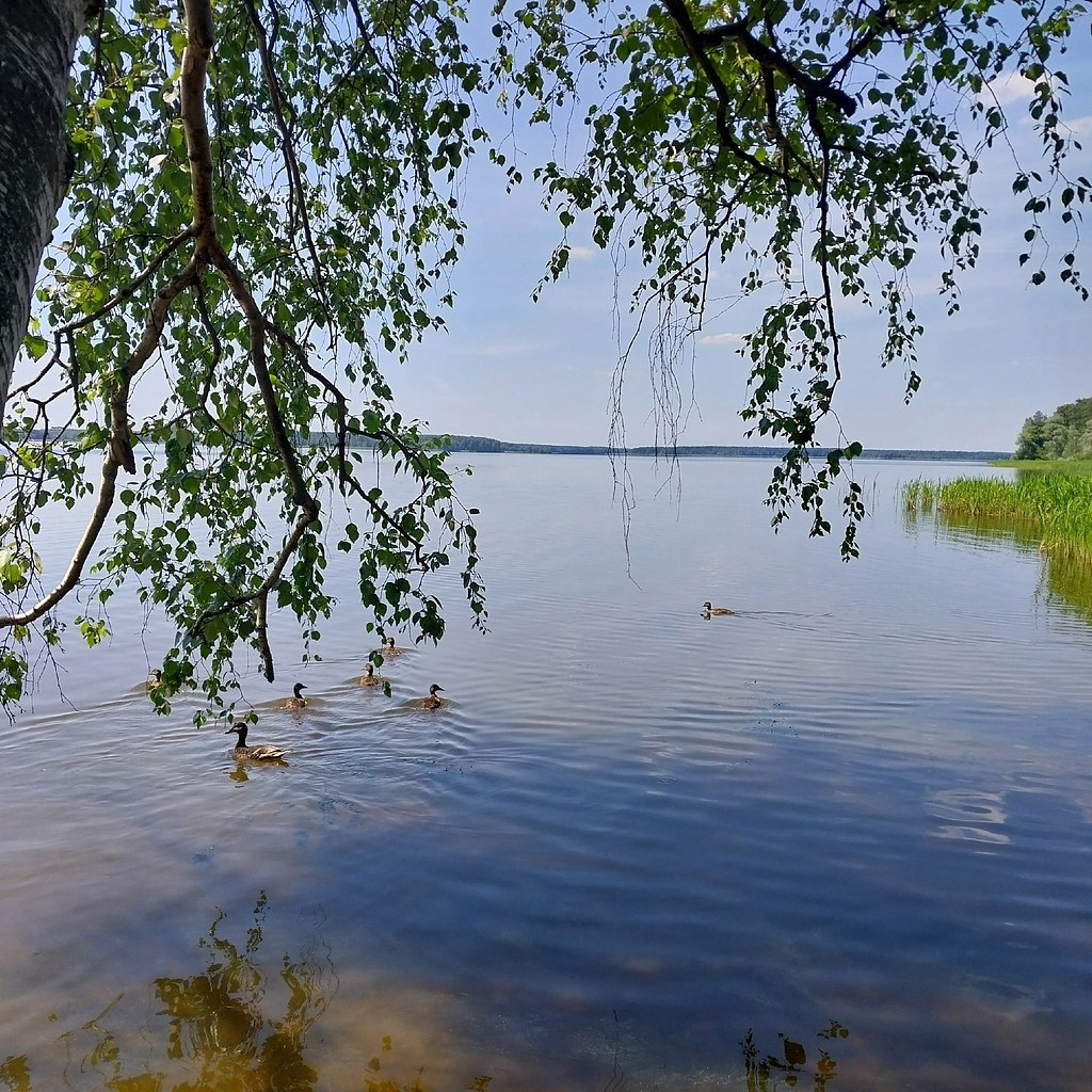 coe oopae. c p-, ococa o.  2024. op oo ec aeea - 4