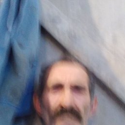 , 57, 