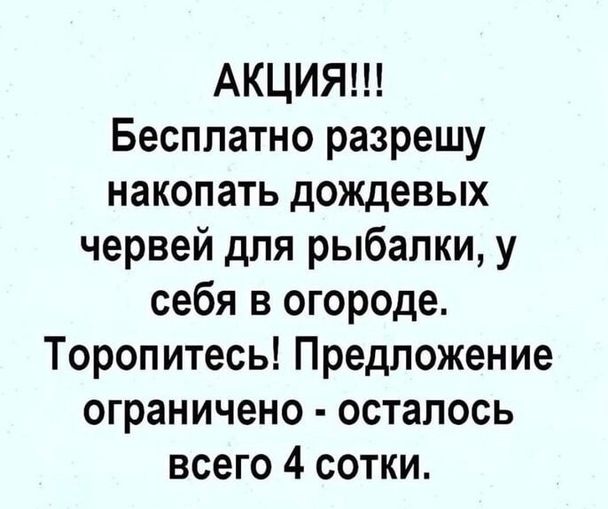   . - 29  2025  11:22
