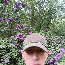 , 33, 
