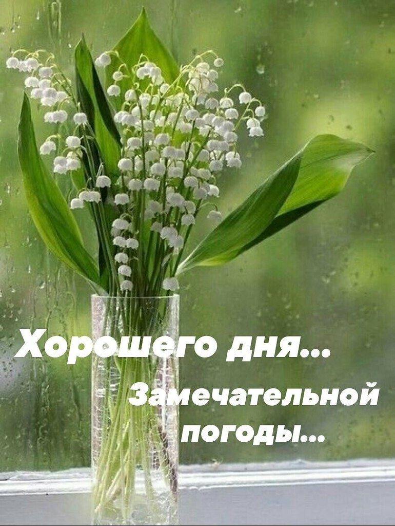 ��� ���� - 14 ������ 2026 � 16:06