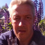 , 51 , -