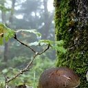  , , 53  -  11  2025   , , !!