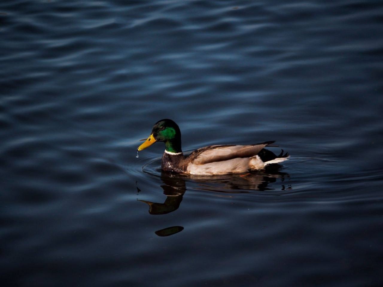  .  .:    : https://fotostrana.ru/away?to=/sl/ei54 ... - 2