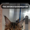 ���� �������, ���������� - ��������� 3 ������ 2025 � ������ ���� ����������