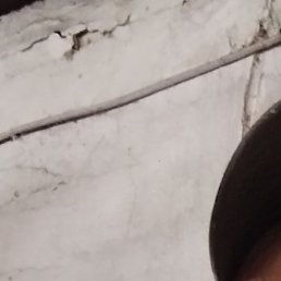 ������, ����, 52 ����