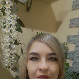 ���� �����, ������, 38 ��� - ��������� 14 ����� 2026