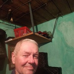 �����, 56 ���, ������