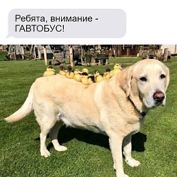 ������, ������, 21 ���
