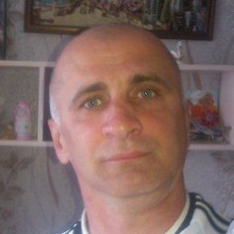 ������, ���������, 46 ���