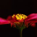 ���� L, ��������� - ��������� 15 ���� 2025 � ������ ������ ��������