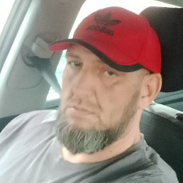 , 41 , -