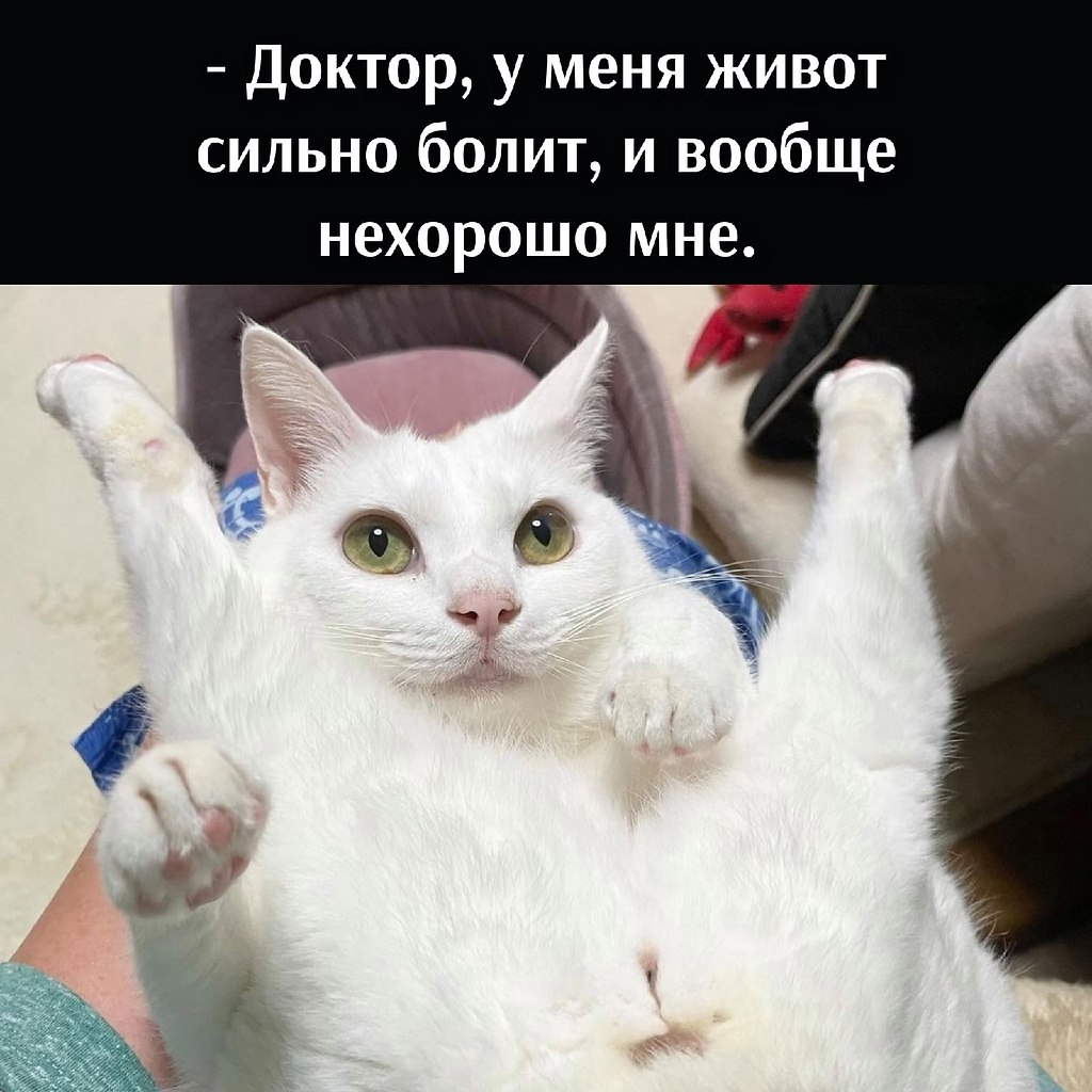 =>