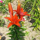 ���� ������, �����-���������, 62 ���� - ��������� 25 �������� 2025 � ������ �������