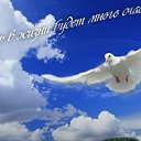  Ninel***,  -  13  2024    