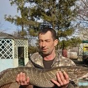 , 48 , 