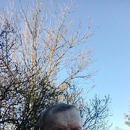 �������, �����, 53 ����