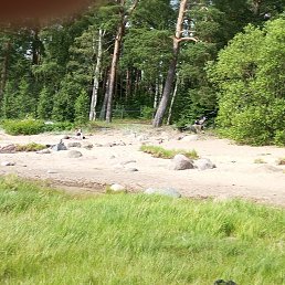  , -, 55  -  24  2025