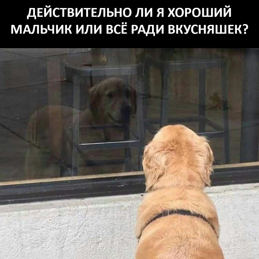    - 2  2023  13:18