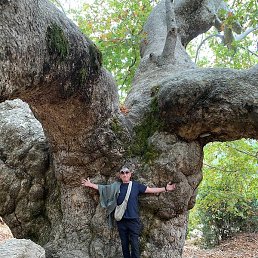 �������, ��������, 50 ���