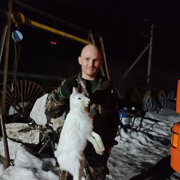 , 32, 