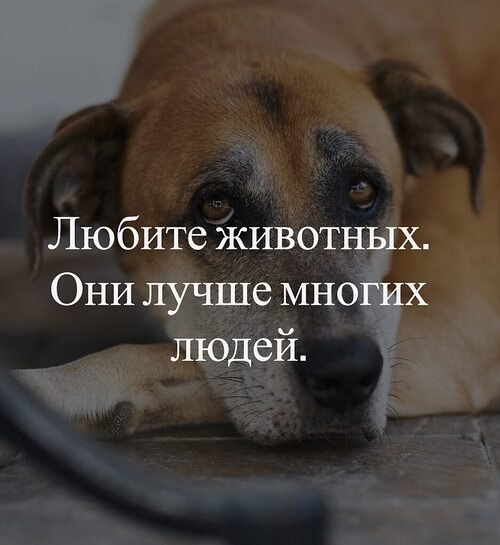   ! - 1  2025  07:50