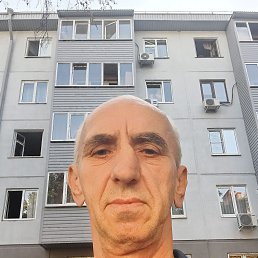 , 61, 