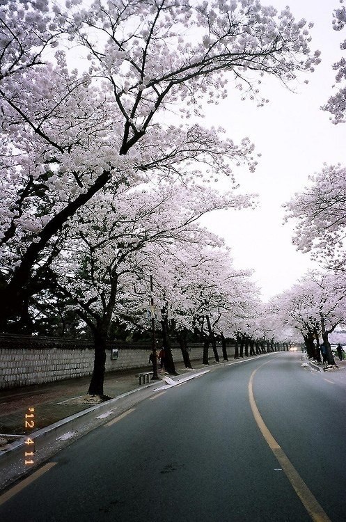 �� �������, �������, �� ������� ����, ��� �������� ������ ����� � ����� ������ ������� ����� ����.- ... - 8