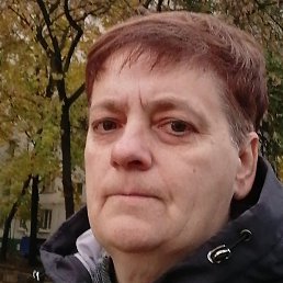 �����, ������, 54 ����